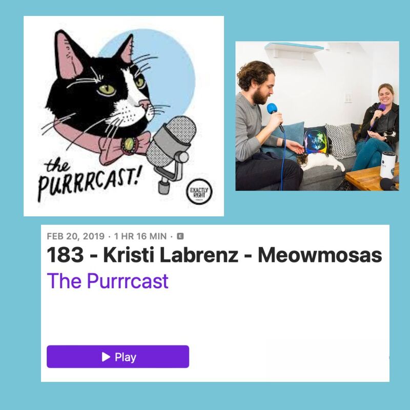 CatCafe Lounge, Purrrcast Podcast Interview, Exactly Right