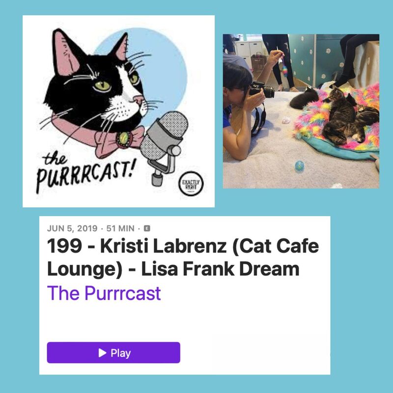 CatCafe Lounge, Purrrcast Podcast Interview, Exactly Right