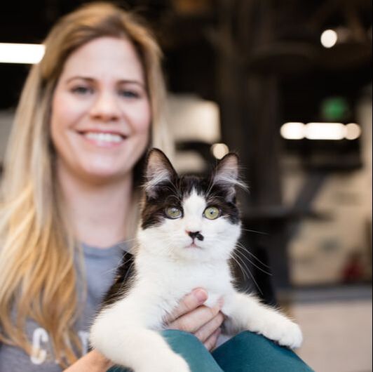 CatCafe Lounge in Los Angeles where you can snuggle with adoptable cats and kittens in our huge cat lounge or outdoor catio. Plus, enjoy a freshly brewed beverage from our onsite cafe.